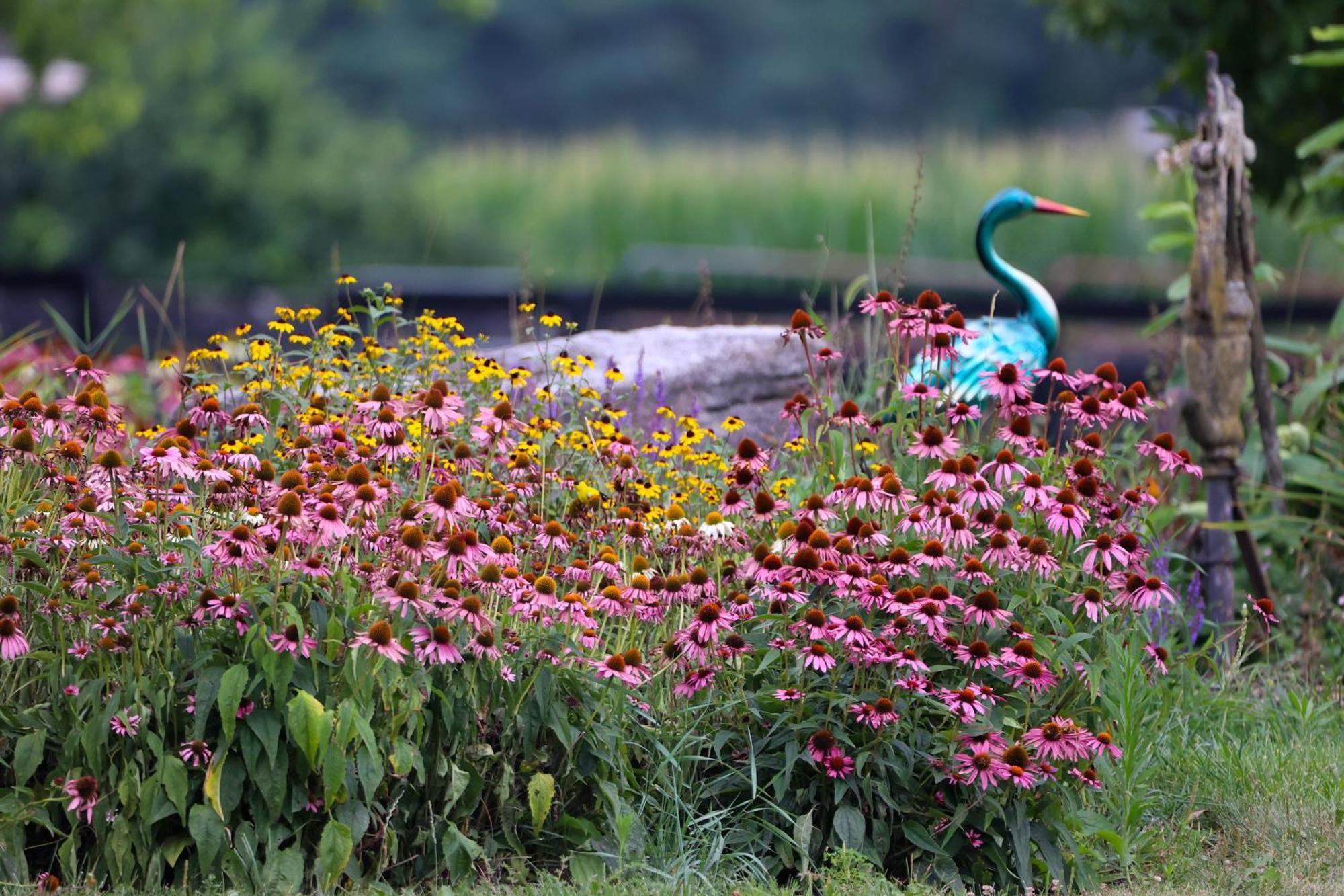 Pheasant Field Bed And Breakfast 卡莱尔 外观 照片